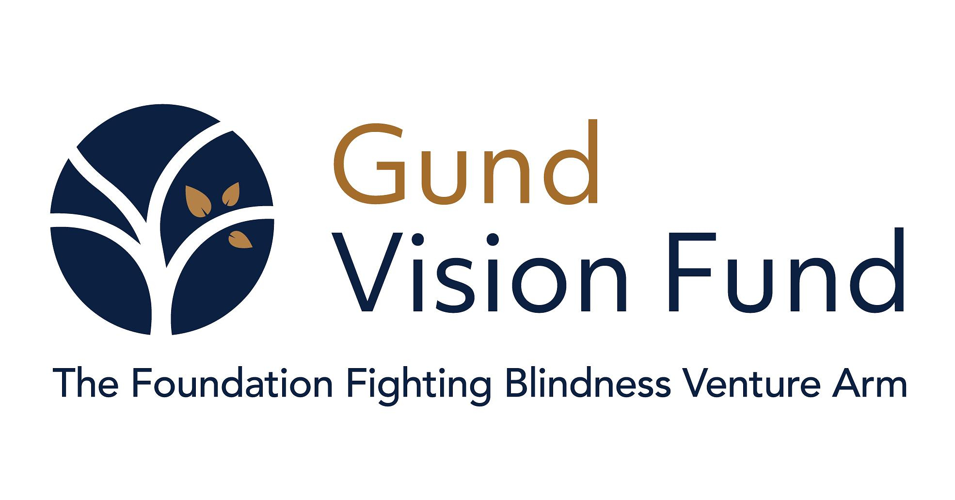 Foundation Fighting Blindness Renames Venture Arm as Gund Vision Fund